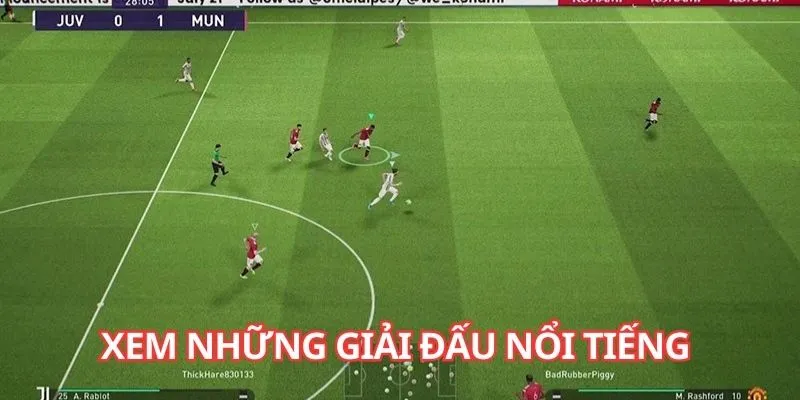 Thưởng thức những giải đấu nổi tiếng trên thế giới