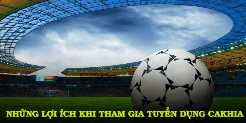 Những lợi ích hấp dẫn khi tham gia tuyển dụng cakhia