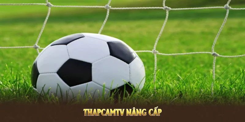 ThapcamTV nâng cấp để phục vụ nhu cầu giải trí trực tuyến tốt nhất