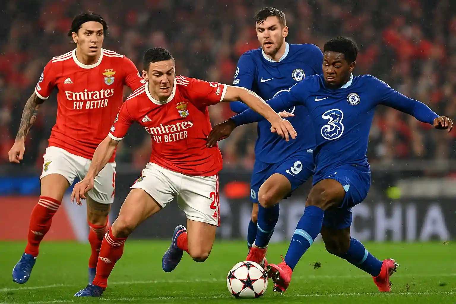 Link trực tiếp bóng đá 29/06 Benfica vs Chelsea